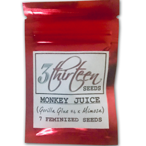 Monkey Juice (Gorilla Glue #4 x Mimosa) 7 Feminized Seeds