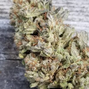 Aunt of Farouk Columbian (AOF x Columbian) 10 Regular Seeds