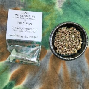 78 Llamas x Goat Yogi F1 15 Regular Seeds