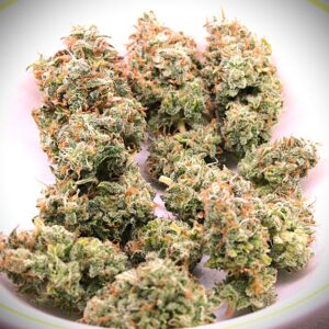 Cheese Blues (Deacon Blues x Campbell County Cheese) 10 Feminized Seeds