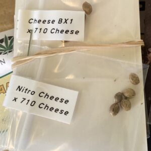 Double Cheese Twin Pack v2 10 Feminized Seeds