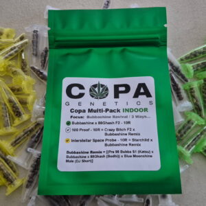 Copa Bubbashine Revival INDOOR Multi-Pack (Bubbashine x 88Ghash F2, 100 Proof F1, and Interstellar Space Probe F1) 30 Regular Seeds