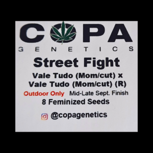 Street Fight (Vale Tudo x Vale Tudo) 8 Feminized Seeds