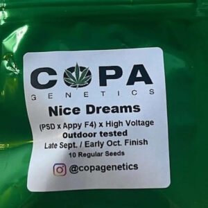 Nice Dreams F1 ([PSD x Appy F4] x High Voltage) 10 Regular Seeds