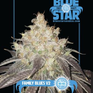 Family Blues v2 (Dj Short 98 F4 Blueberry X Blue Star) 10 Regular Seeds
