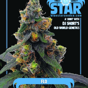 DJ Short's Flo 4 Feminized Seeds