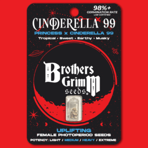 Cinderella 99 (Princess x C99) 3 Feminized Seeds