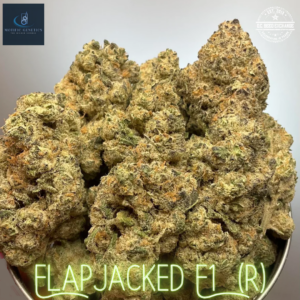 FlapJacked F1 (Pancakes x White OG F3) 10 Regular Seeds