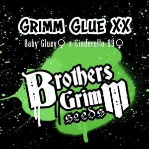 Grimm Glue XX 9 Feminized Seeds