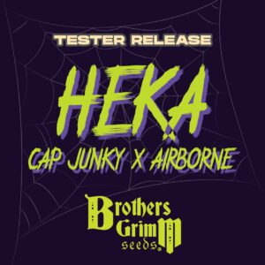 Heka F1 (Cap Junky x Airborne) 9 Feminized Seeds
