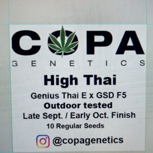 High Thai F1 (Genius Thai E x GSD F5) 10 Regular Seeds