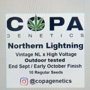 Northern Lightning F1 (Northern Lights x High Voltage) 10 Regular Seeds