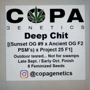 Deep Chit F1 (Sunset OG x [Ancient OG x Project 25]) 8 Feminized Seeds