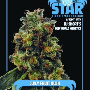 Juicy Fruit Kush F1 (OG Kush x 1998 F4 Blueberry S1) 4 Feminized Seeds