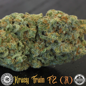Krazy Train F2 (Arcata Trainwreck 'cut-only' x I-95) 10 Regular Seeds