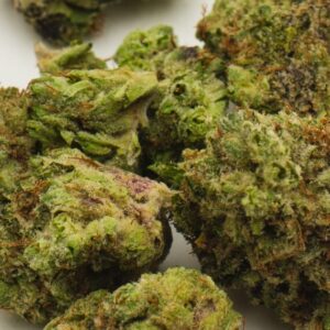 Lime Blues F3 (Blue Euphoria ‘Clone-Only’ x Sour Jamaican Lime F3) 10 Regular Seeds