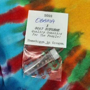 Obama X Goat Supreme F1 15 Regular Seeds