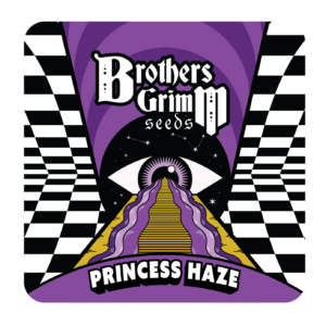 Princess Haze (Cinderella 99 x Princess Haze) 3 Feminized Seeds