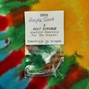Purple Goat x Goat Supreme F1 15 Regular Seeds