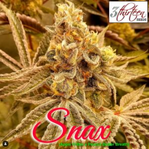 Snax F1 (Apple Fritter x Peanut Butter Breath) 7 Feminized Seeds