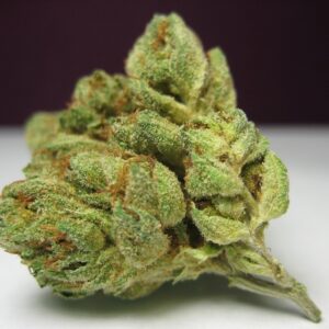 Sour Jamaican Kush F3 (Pineapple Kush F3 x Gelato #25/Dosidos #22) x Sour Jamaican Lime F3) 10 Regular Seeds