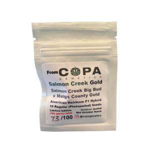 Salmon Creek Gold (Salmon Creek Big Bud x Meigs County Gold) 10 Regular Seeds