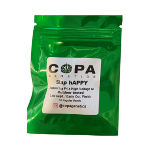 Slap hAPPY F1 (Appalachia F4 x High Voltage) 10 Regular Seeds