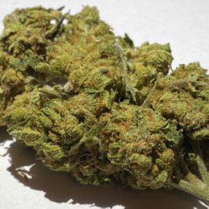 Thai Fighter F3 (Pineapple Thai F3 x NorCal Lemon Kush F3) 10 Regular Seeds