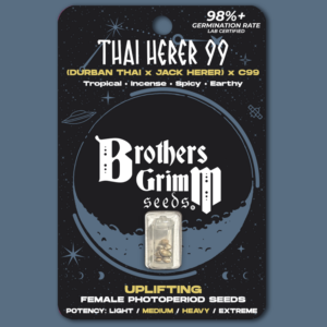 Thai Herer 99 3 Feminized Seeds