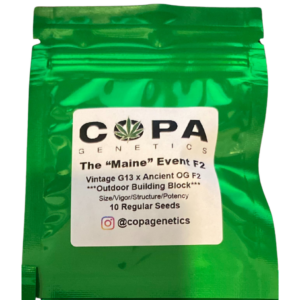 The "Maine" Event F2 (Vintage G13 x Ancient OG F2) 10 Regular Seeds