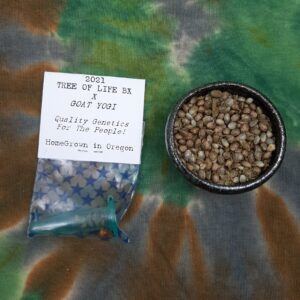 Tree of Life BX x Goat Yogi F1 15 Regular Seeds