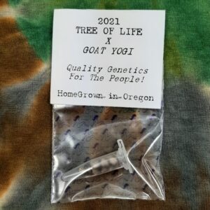 Tree of Life x Goat Yogi F1 15 Regular Seeds
