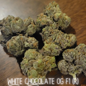 White Chocolate OG F2 (CoCo Nibbles x White OG F3) 10 Regular Seeds
