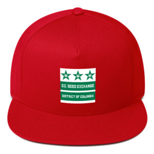 DC Seed Exchange Flag Flat Bill Cap - Red