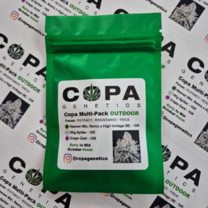Copa October OUTDOOR Multi-Pack (Heaven Mountain Remix x High Voltage,  Wig Splitter F1, and Grape Gold F1) 30 Regular Seeds