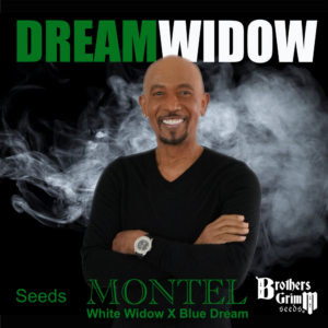Montel’s Dream Widow (White Widow x Blue Dream) 9 Feminized Seeds