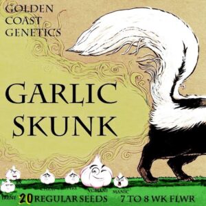 Garlic Skunk BX 20 Regular Seeds