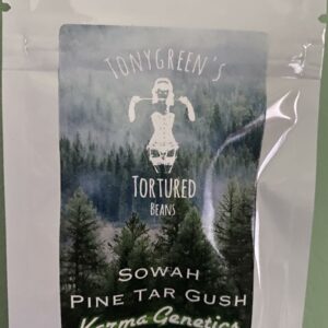 Sowah Pine Tar Gush F1 (Pine Tar Gush x Sour Diesel Bx4) 15 Regular Seeds