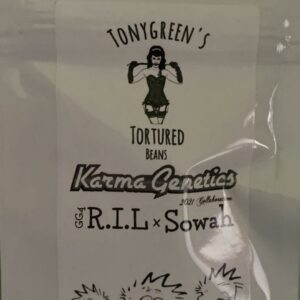 R.I.L. x Sowah F1 (GG4 R.I.L. x Sour Diesel Bx4) 10 Regular Seeds