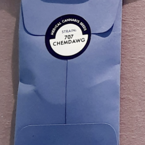 707 Seedbank 707 Chemdawg 10 Regular Seeds