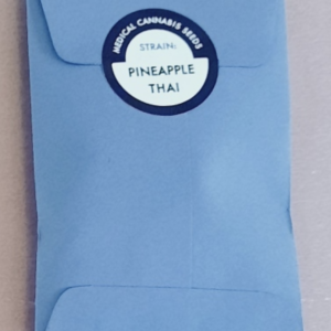 707 Seedbank Pineapple Thai 10 Regular Seeds