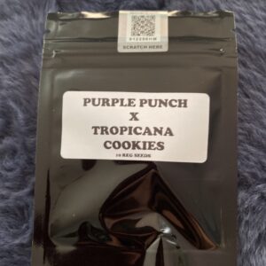Tiki Madman Purple Punch x Tropicana Cookies 10 Regular Seeds