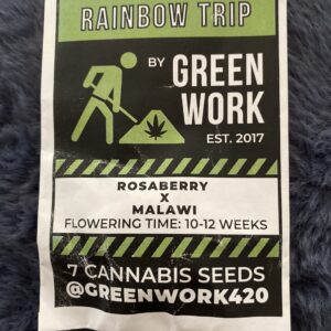 Rainbow Trip (Rosaberry x Malawi) 7 Regular Seeds