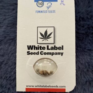 Purple Bud by White Label Seed Company 10 Feminized Seeds