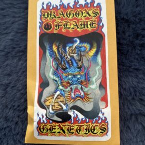 Gelato 33 x Dragon Hashplant 10 Regular Seeds