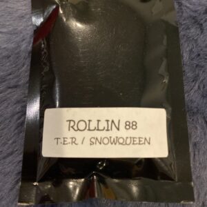 Strayfox Rollin '88 F1 10 Regular Seeds