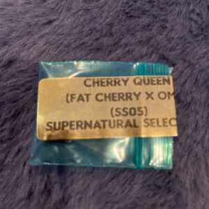Bodhi Seeds Cherry Queen 11 Regular Seeds