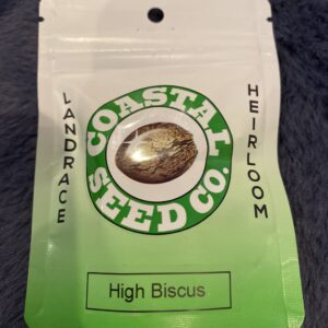 High Biscus 10 Regular Seeds