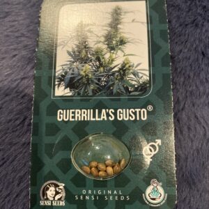 Guerrilla's Gusto 10 Regular Seeds