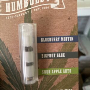 Grow Your Own Garden Mix (Blueberry Muffin-Bigfoot Glue-Sour Apple Auto) 10 Feminized Seeds